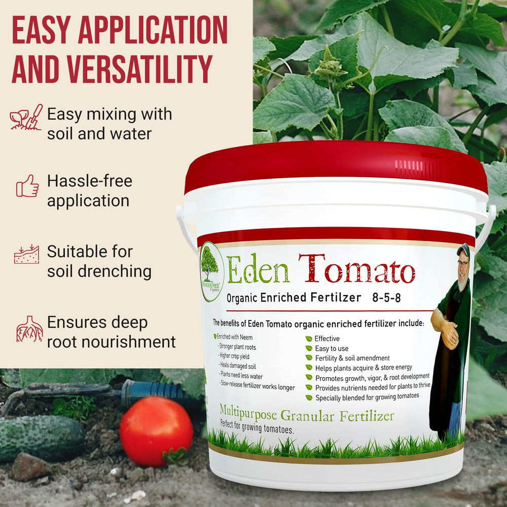 WonderTree Organics sprinkled at plant base around tomato stem improving soil health
