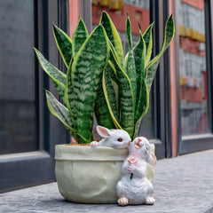 WONDHOME bunny top opening showing planting space and easy use benefit