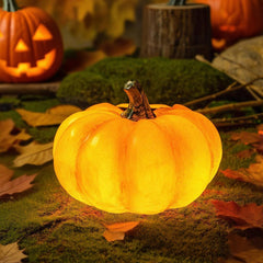 WONDHOME pumpkin close texture highlighting UV-resistant resin durability