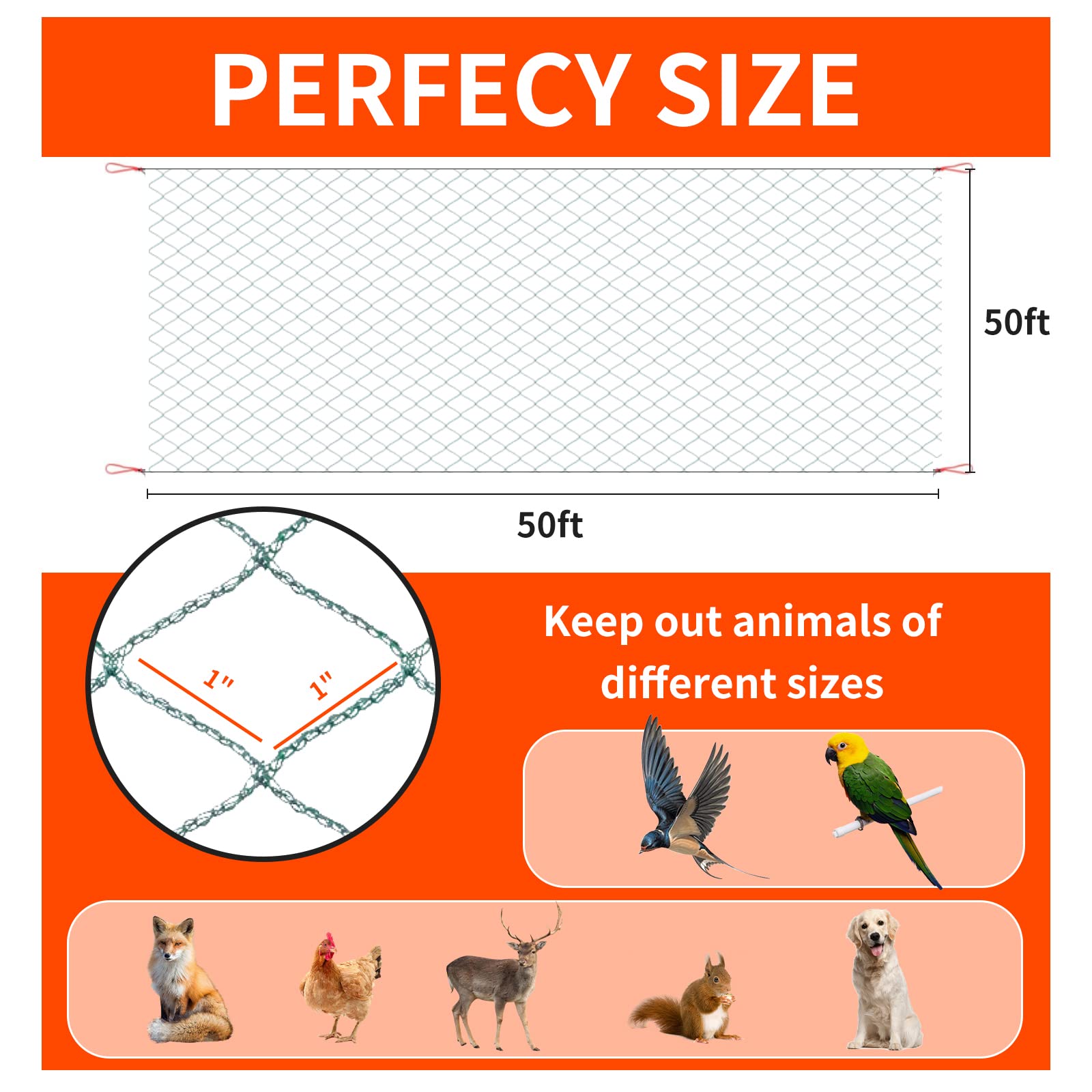 wondihao roll beside a ruler showing scale for coverage and easy handling