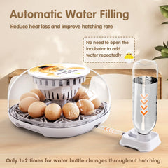 WONEGG automatic egg turner detail preventing membrane sticking and improving viability