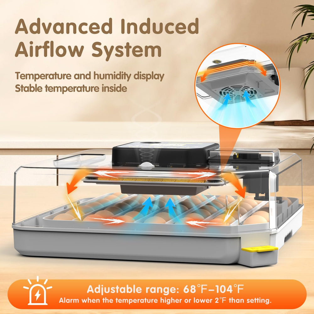 WONEGG protective wall and anti-slip mat with chicks safely moving inside