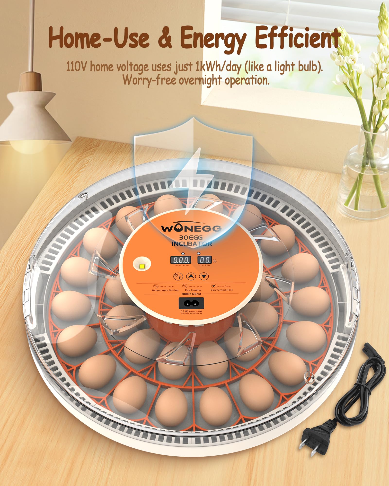 WONEGG incubator in classroom setting demonstrating educational use benefit
