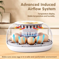 WONEGG clear dome offering 360-degree viewing to monitor hatches easily