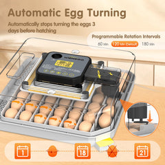 WONEGG control panel display showing temperature and humidity readouts for precision