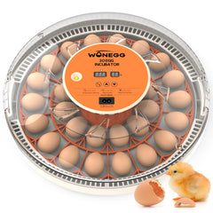 WONEGG incubator front view showing closed lid and clear chamber for easy monitoring
