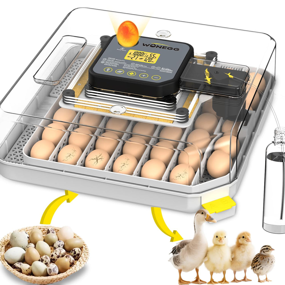 WONEGG front view showing clear lid and overall hatchery design for easy monitoring