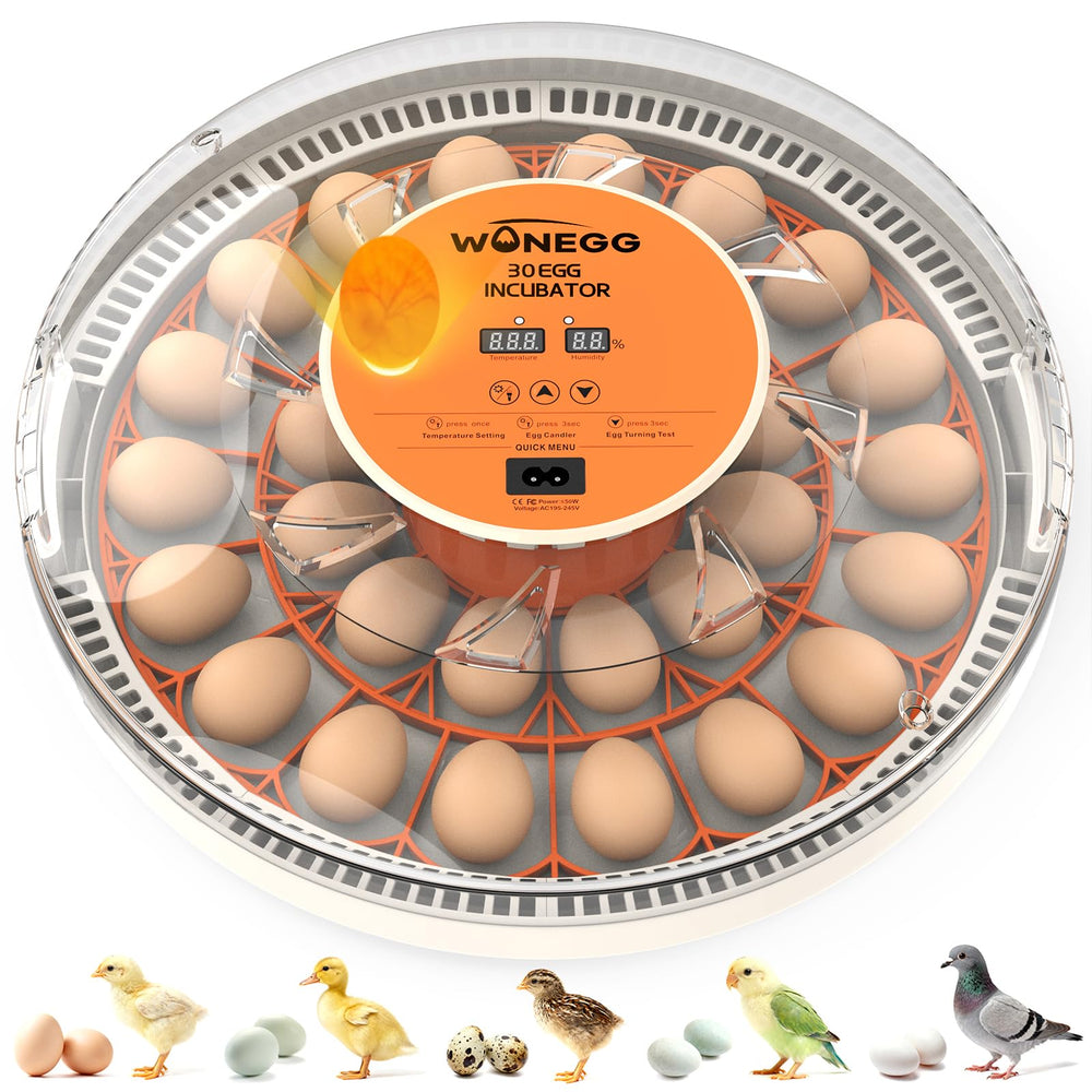 WONEGG front view of incubator showing controls and compact design benefit