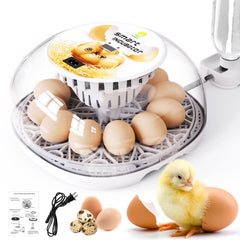 WONEGG incubator front view showing compact footprint and 12-egg capacity benefit