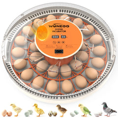 WONEGG front view of incubator showing controls and compact design benefit