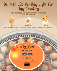 WONEGG LED candler illuminating an egg to reveal veins and development safely