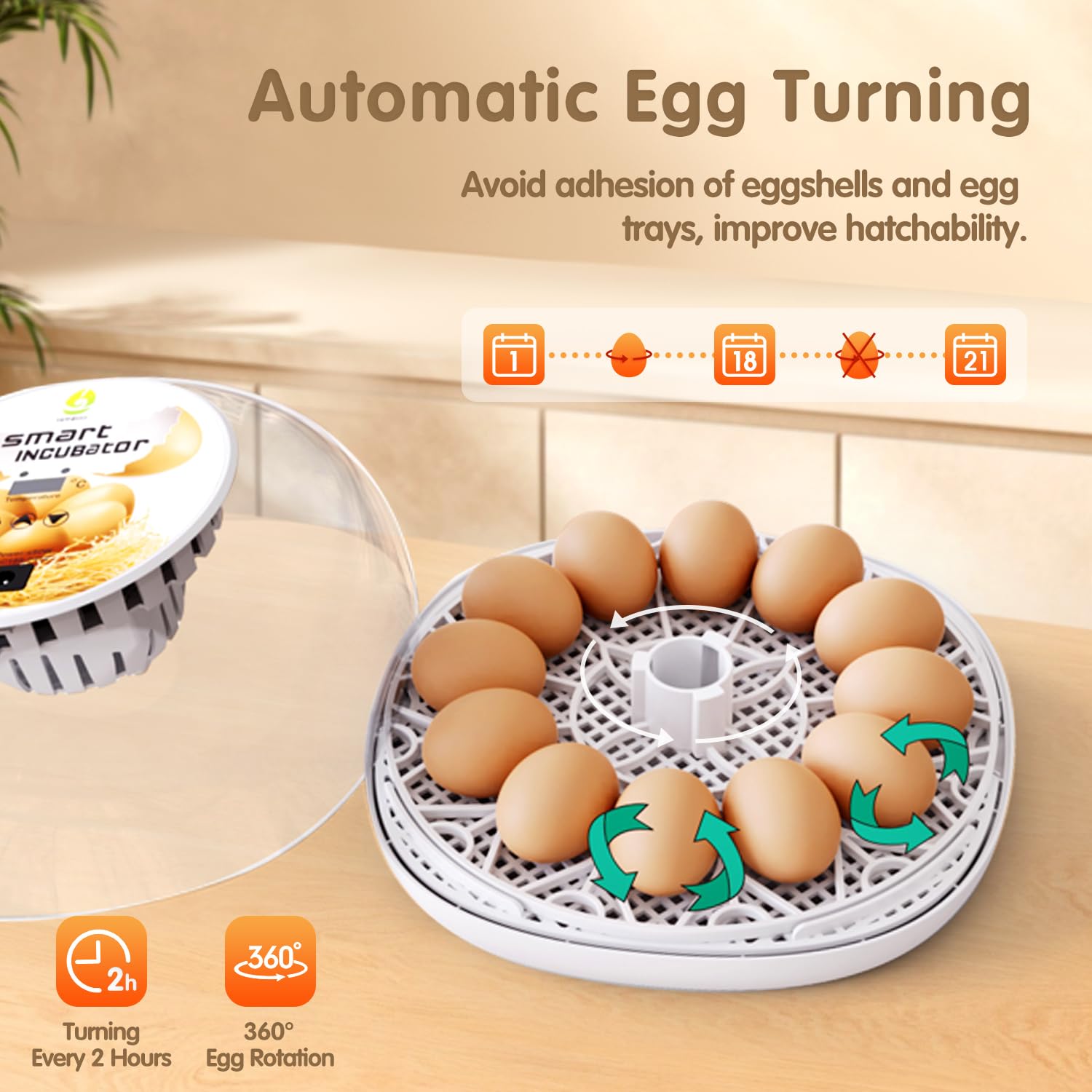 WONEGG digital display showing temperature and humidity for precise control