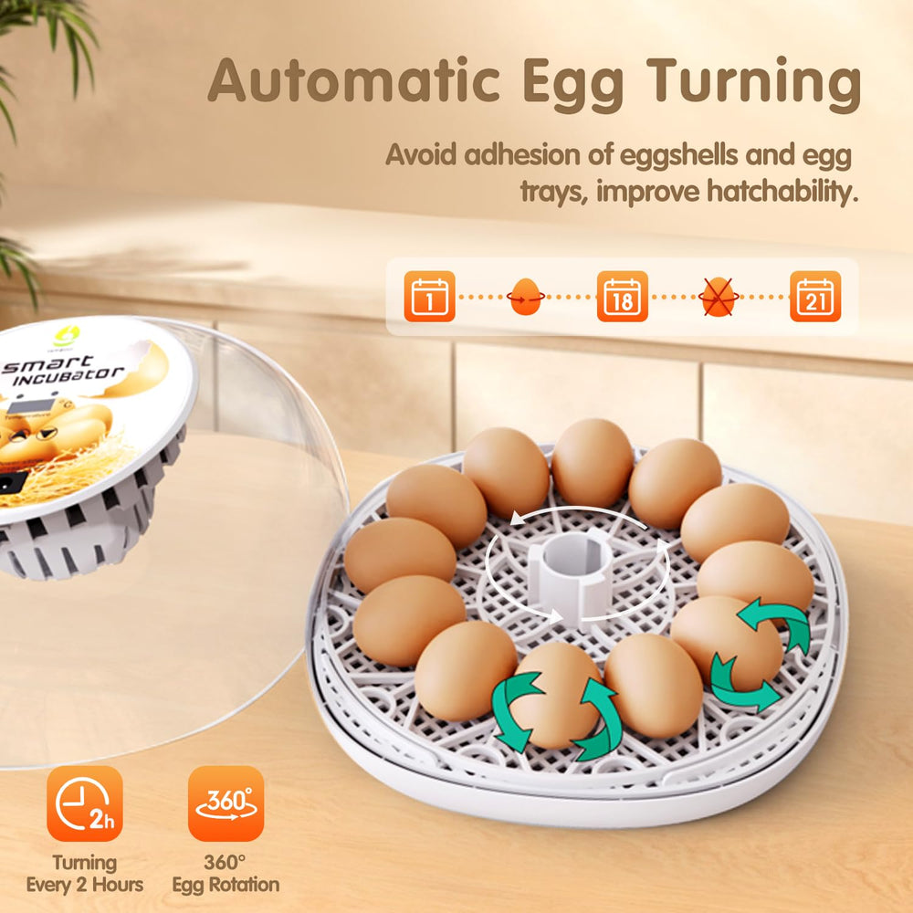 WONEGG digital display showing temperature and humidity for precise control