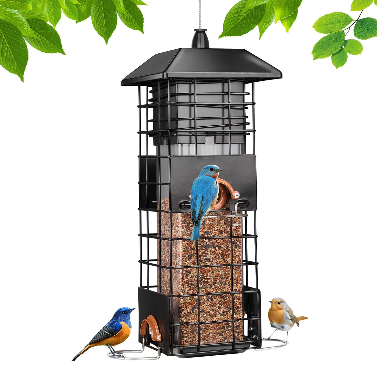 WONLIVE front view of feeder showing ports and hanger, keeps seed protected