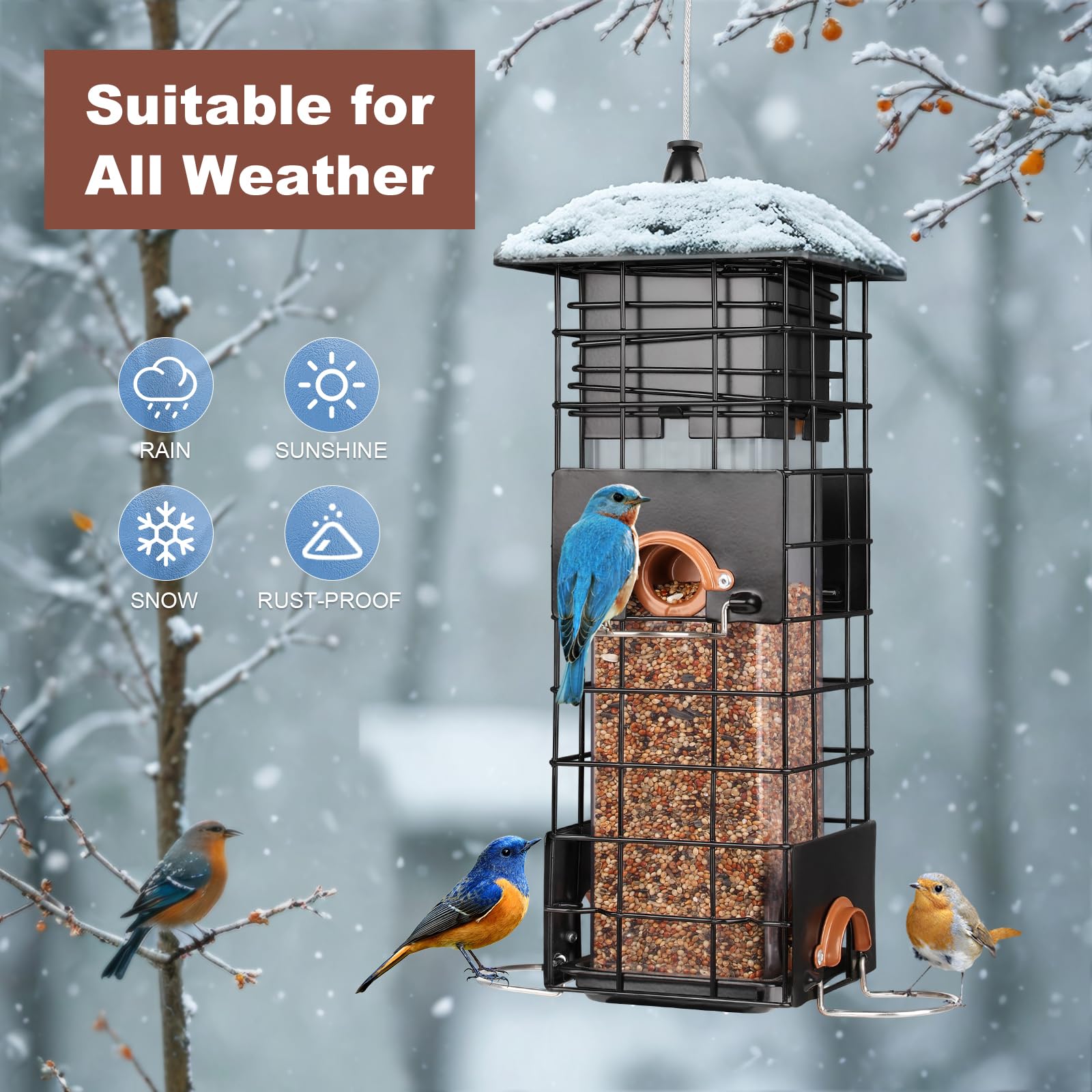 WONLIVE feeder next to a ruler showing 2.5 lb capacity for scale