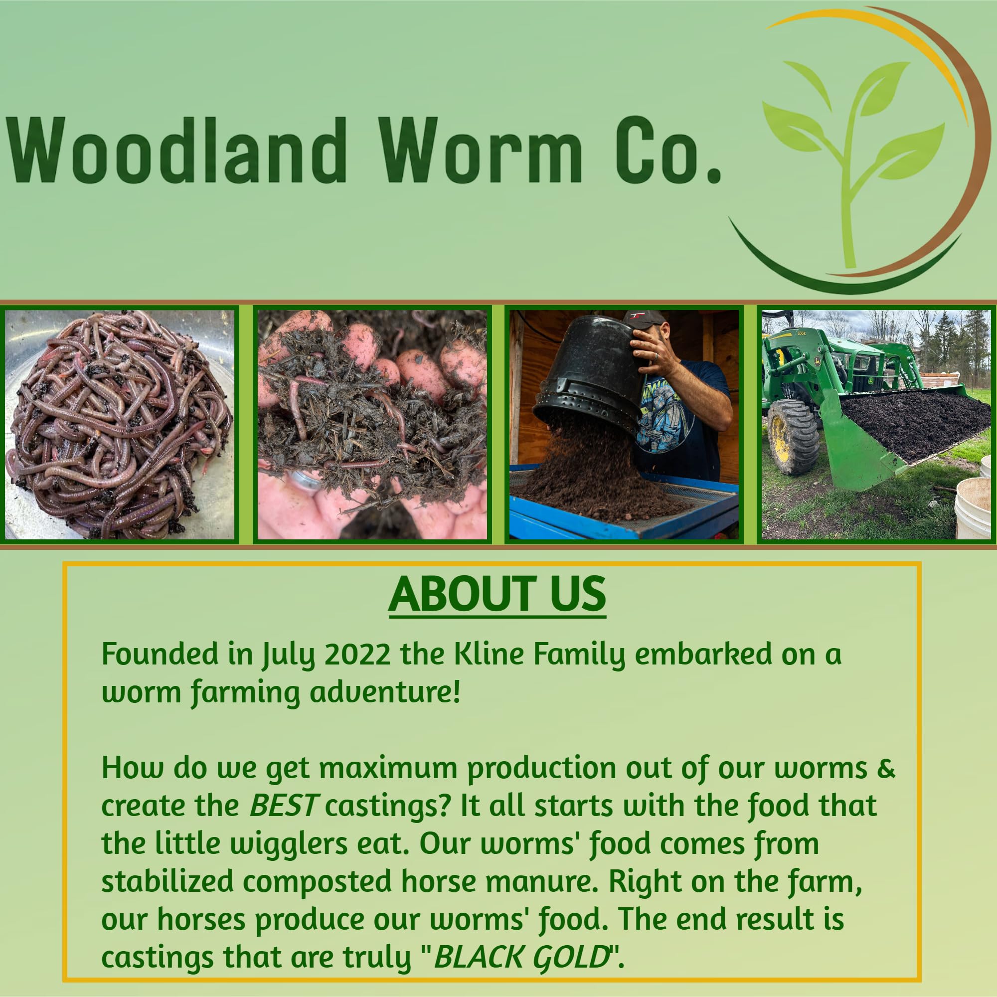 Woodland Worm Co close-up of fine castings texture showcasing rich organic matter