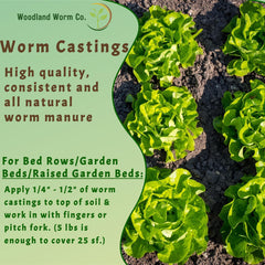 Woodland Worm Co mixed into potting soil illustrating improved container plant growth