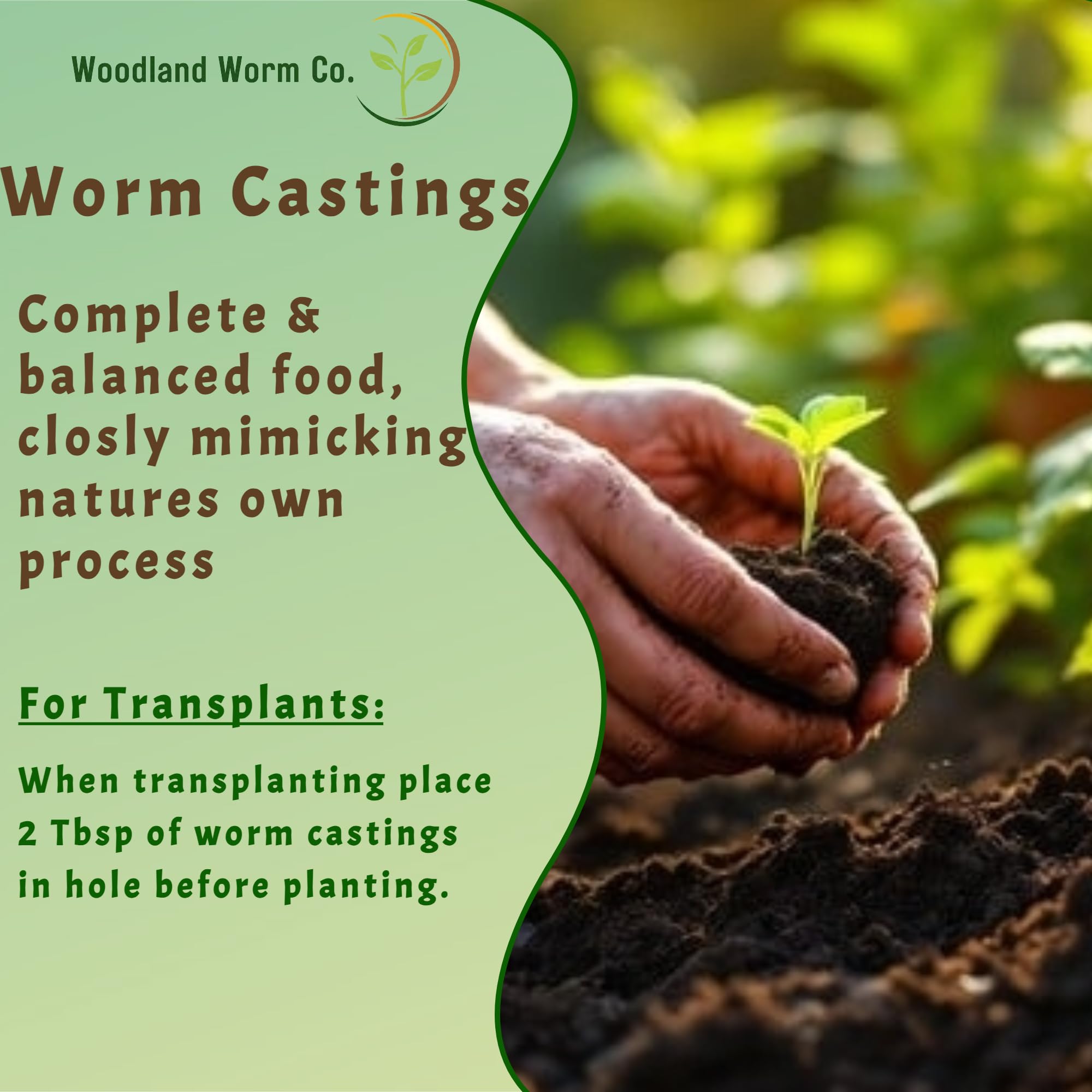 Woodland Worm Co applied as thin top-dress on lawn demonstrating healthier turf