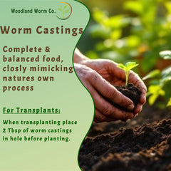 Woodland Worm Co applied as thin top-dress on lawn demonstrating healthier turf