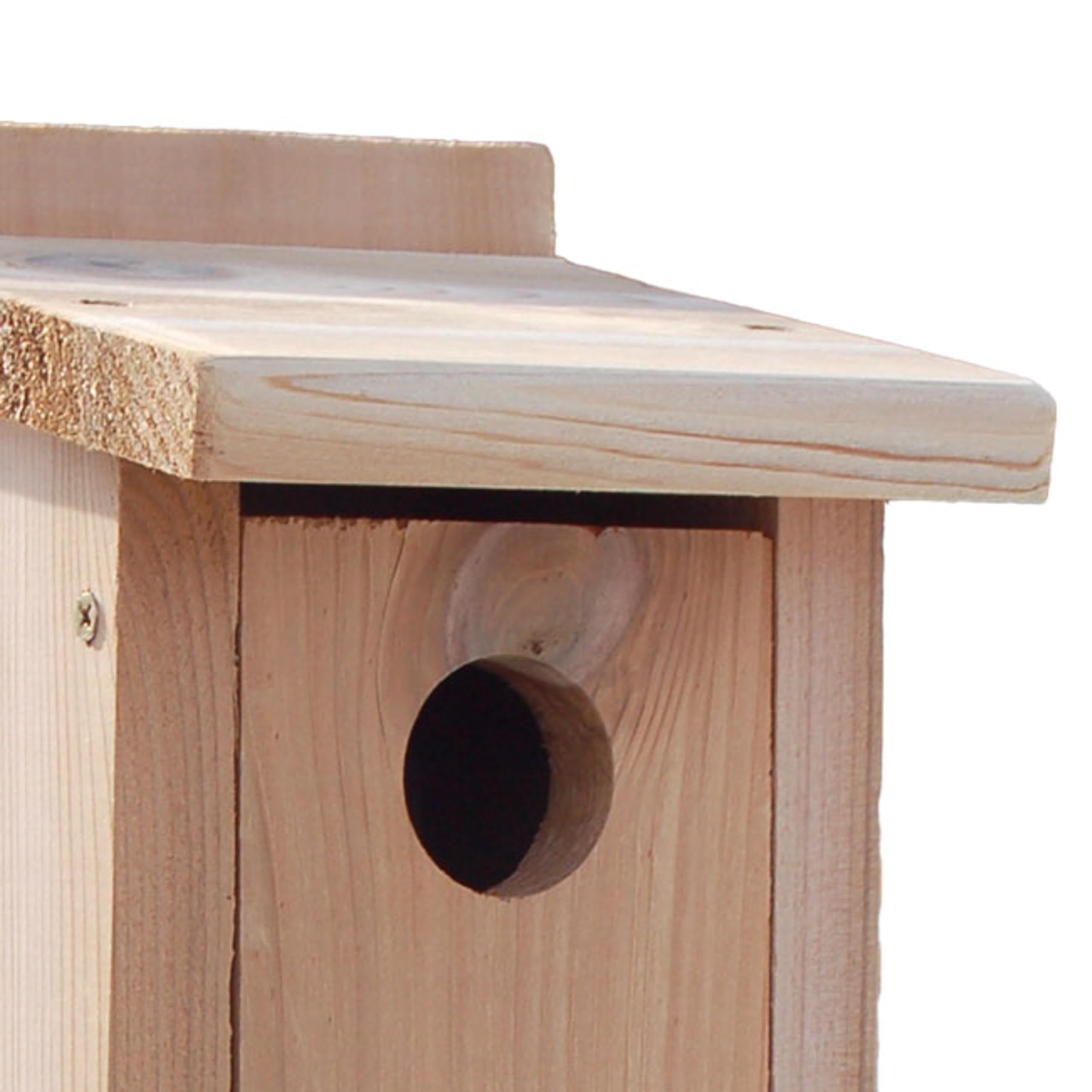 WoodLink Audubon cedar entrance hole with ruler, 1.56-inch fit for bluebirds