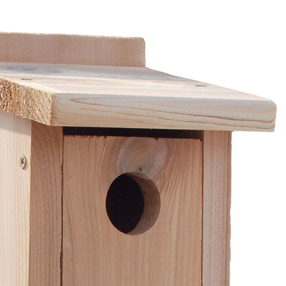 WoodLink Audubon cedar entrance hole with ruler, 1.56-inch fit for bluebirds