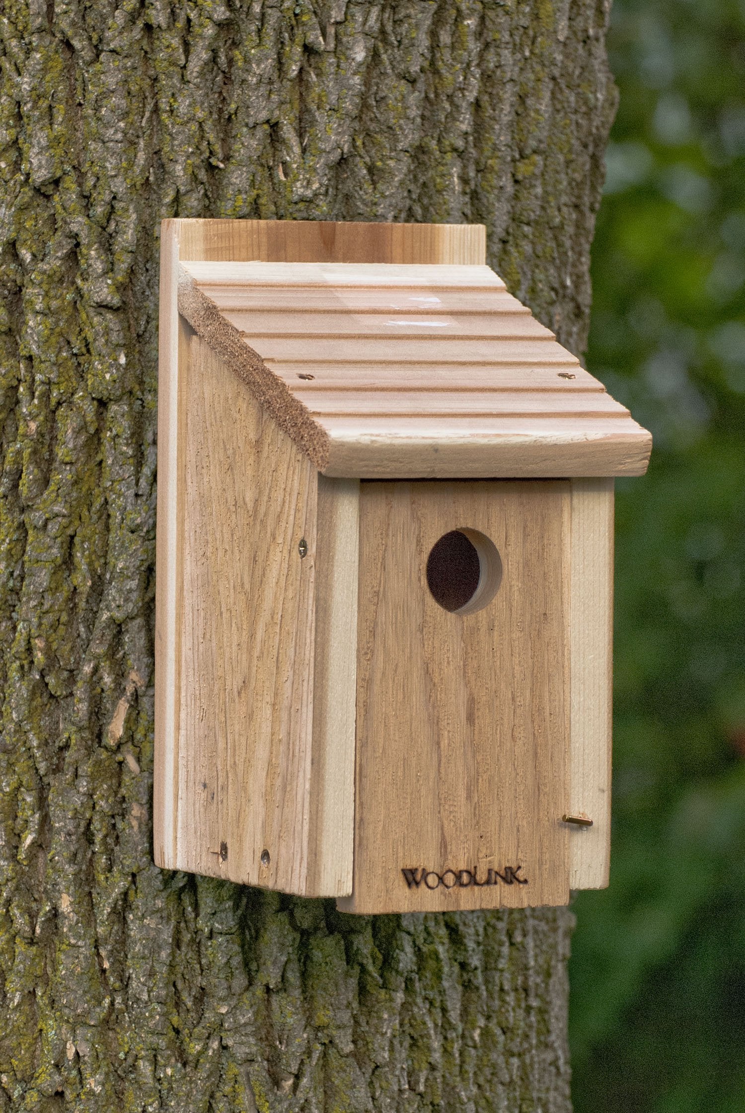 Woodlink close-up of cedar grain and screw joints demonstrating weather resistance