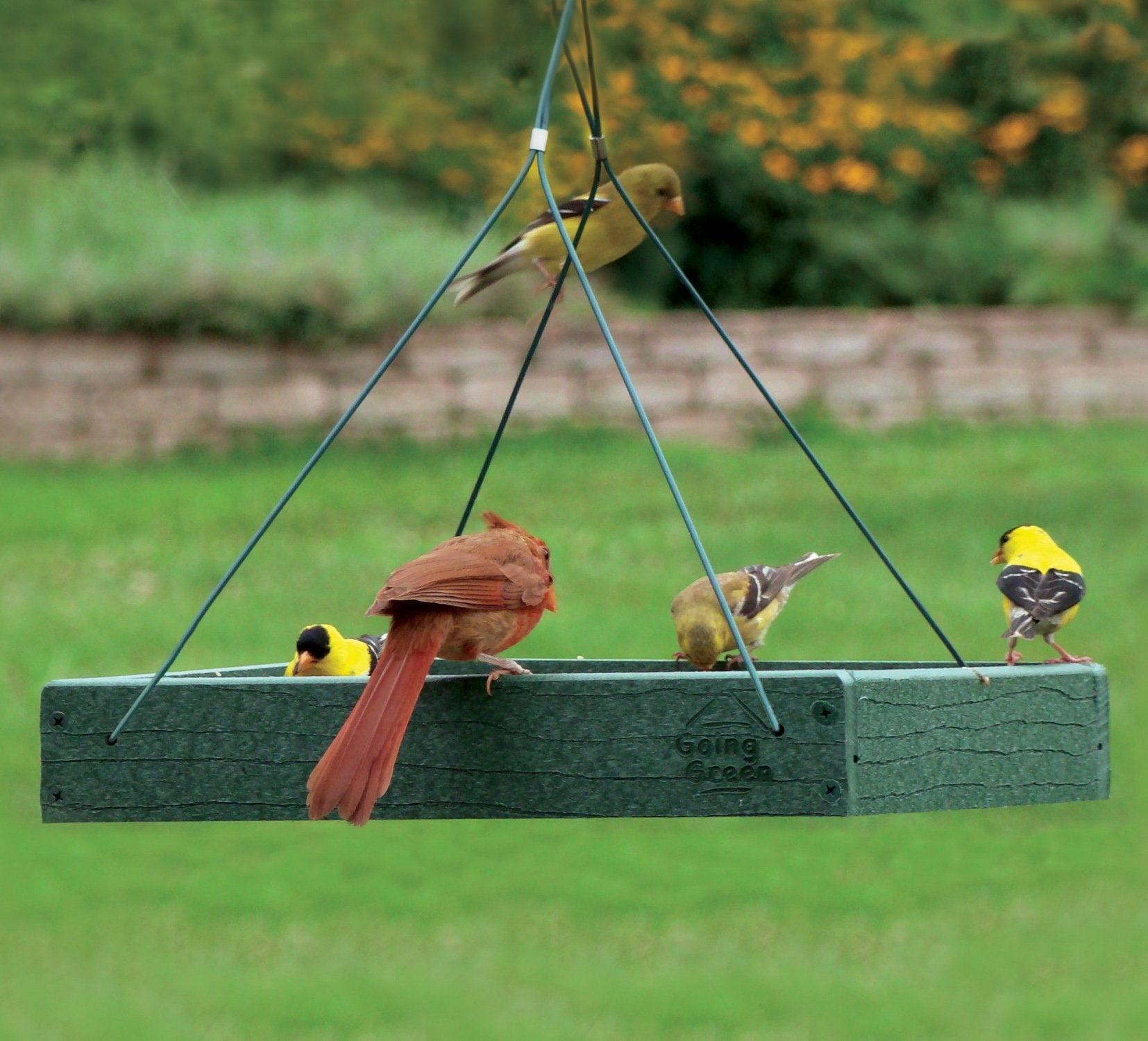 Woodlink Going Green feeder metal mesh bottom close-up for reliable drainage