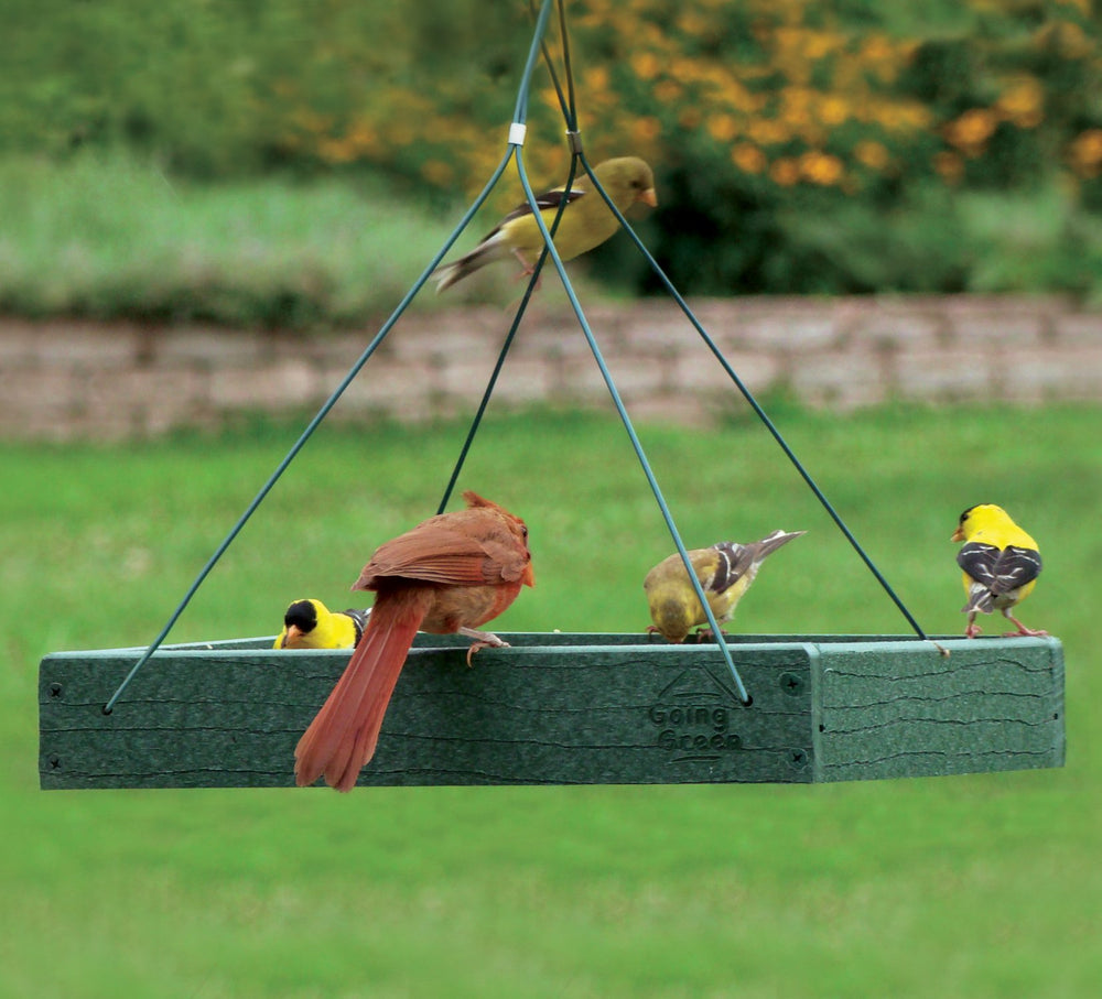 Woodlink Going Green feeder metal mesh bottom close-up for reliable drainage