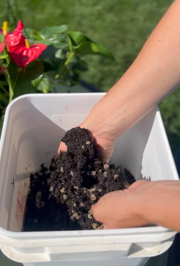 Wooly Garden pellets applied in container garden illustrating improved soil moisture and growth