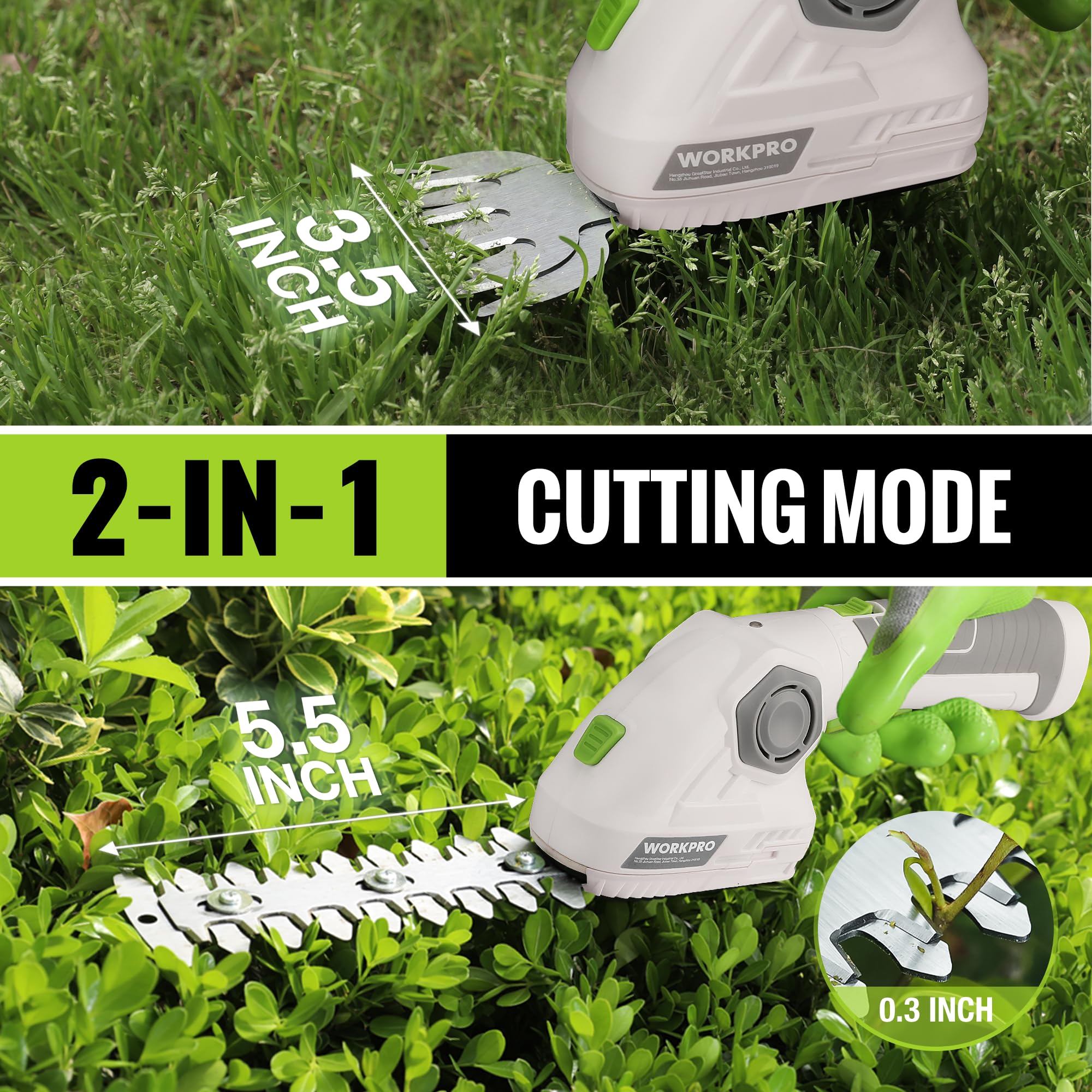 WORKPRO close-up of grass blade showing sharp edge for tidy lawn borders