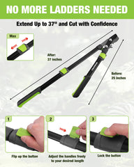 WORKPRO extended handle demonstrating telescoping reach and safety