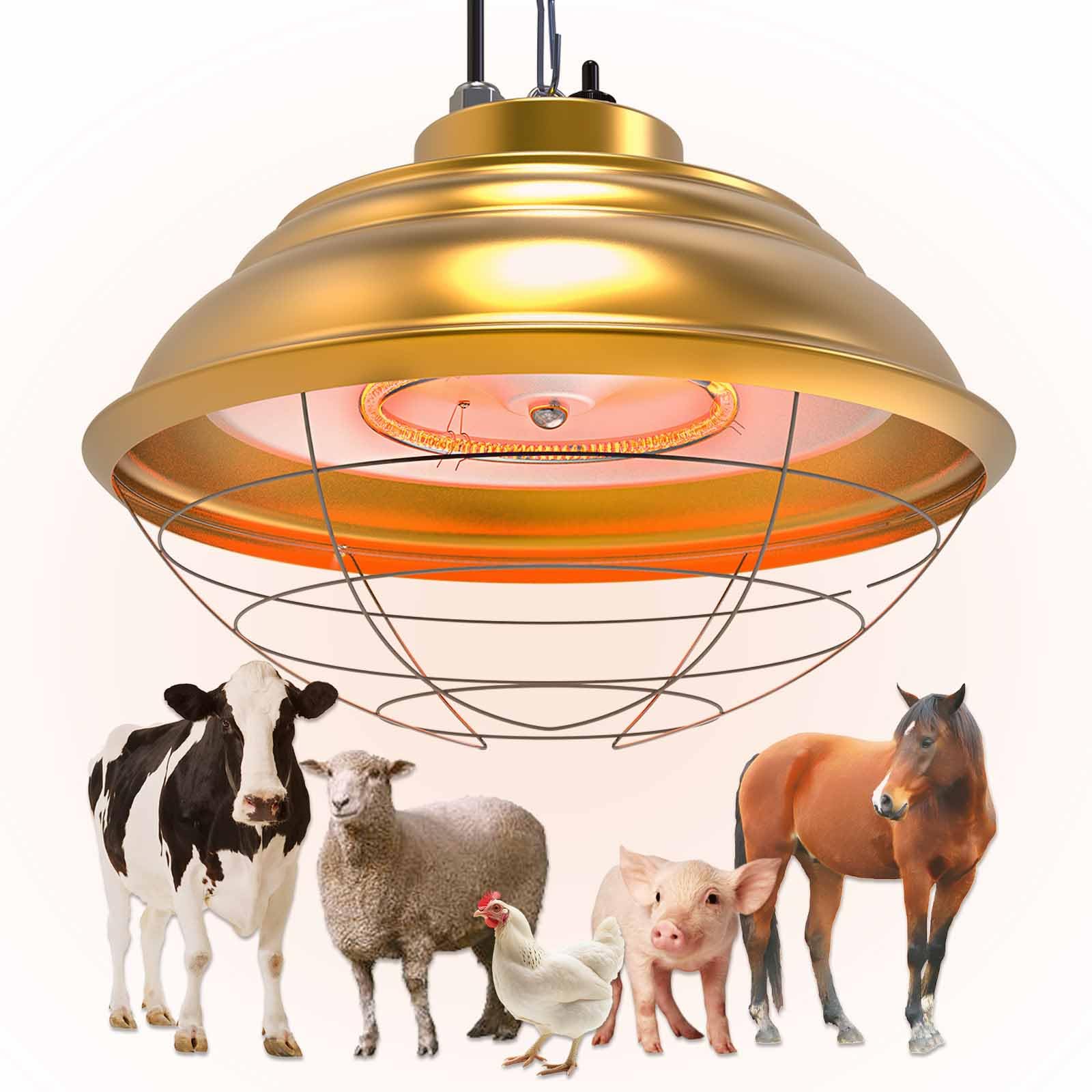WORLEYX front view of heat lamp showing durable design and broad coverage