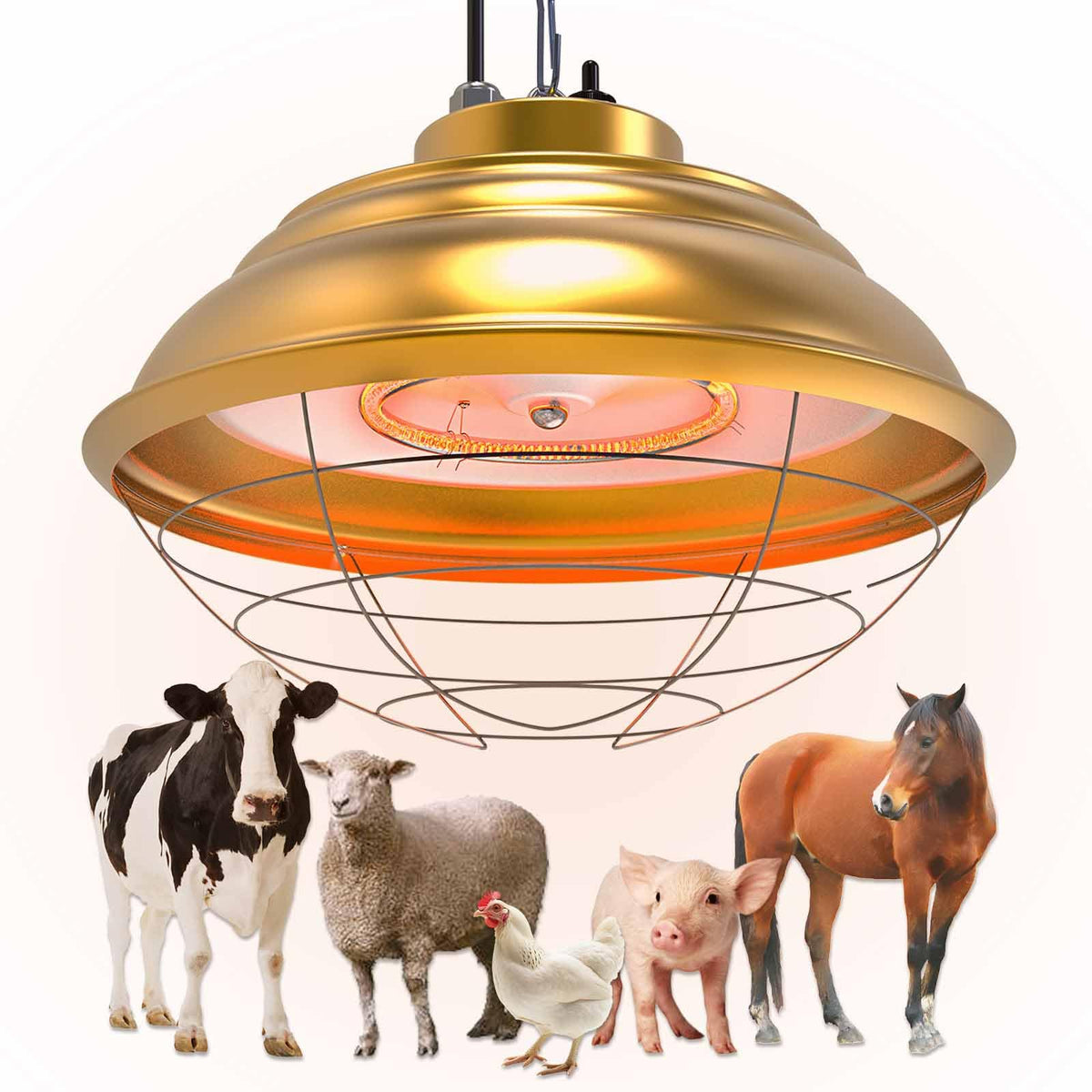 WORLEYX front view of heat lamp showing durable design and broad coverage