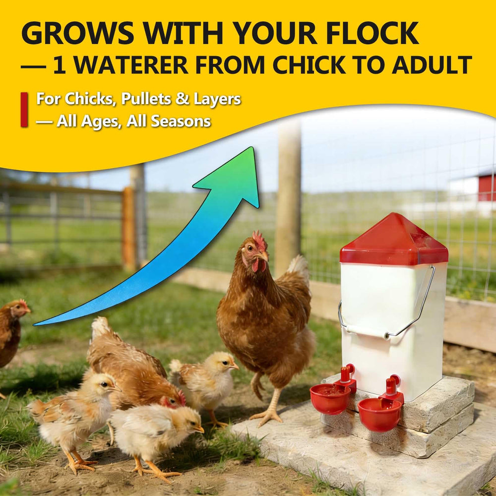 WORLEYX installed in coop showing tidy, accessible water for birds