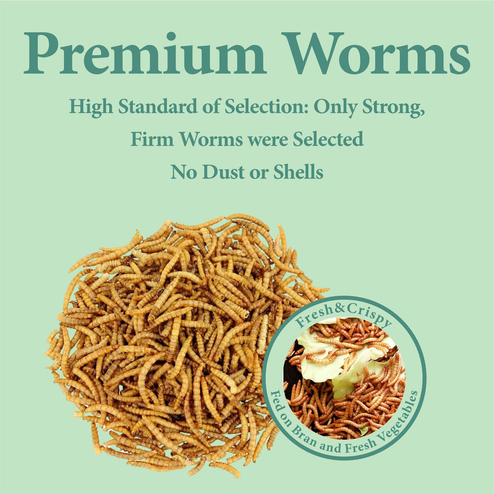 WORMSKING bag stored in pantry to illustrate shelf-stable storage