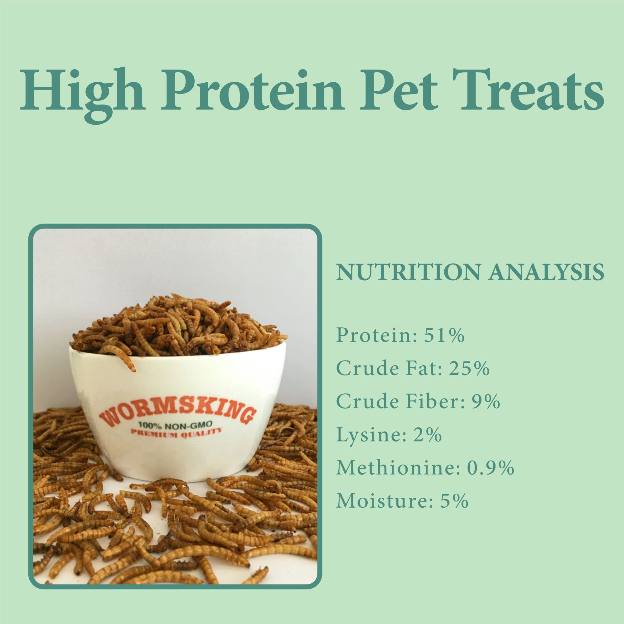 WORMSKING close-up texture of dried mealworms highlighting high-protein look