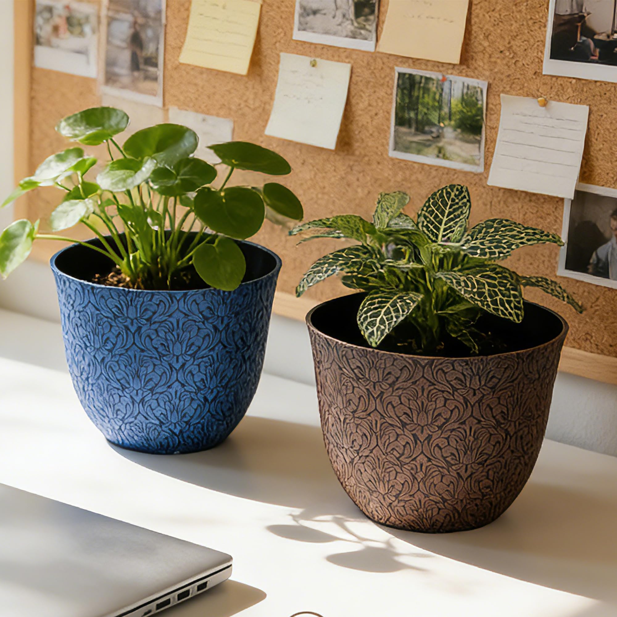 Worth Garden pot on saucer demonstrating surface protection benefit