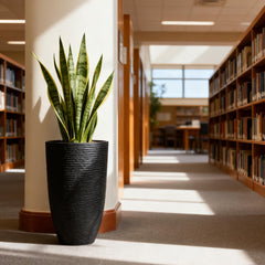 Worth close-up of imitation stone finish highlighting durable textured surface and low maintenance