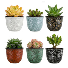 Worth Garden front view of six colorful pots showing attractive finish and benefit