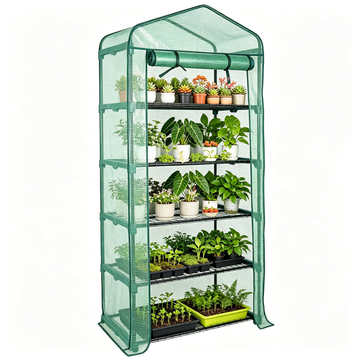 Worth front view of five-tier greenhouse showing organized plants and compact footprint