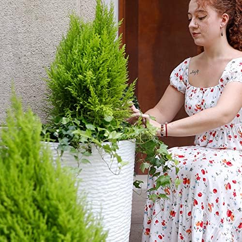 Worth Garden on patio with tall plants demonstrating outdoor placement and style