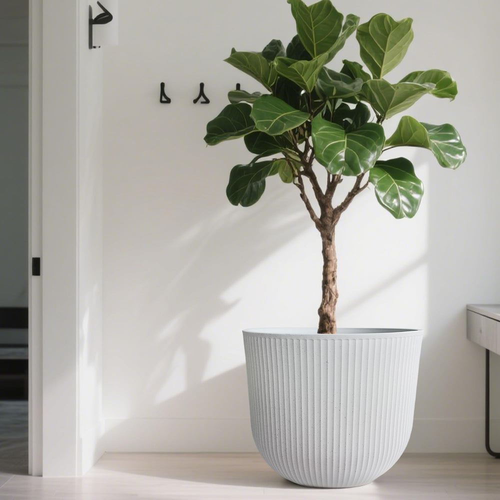 Worth Garden planters on a front porch enhancing outdoor decor