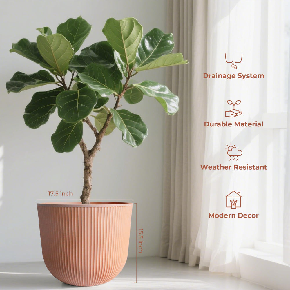 Worth Garden paired on front porch with plants, benefit: enhances entryway decor