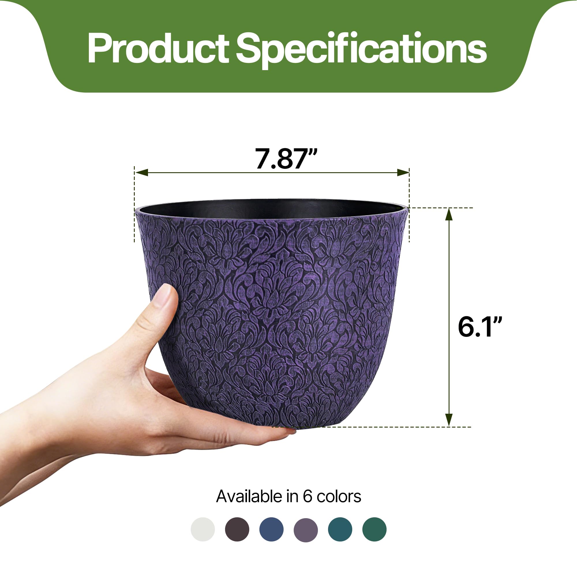 Worth Garden potted plant on shelf showing decorative display benefit