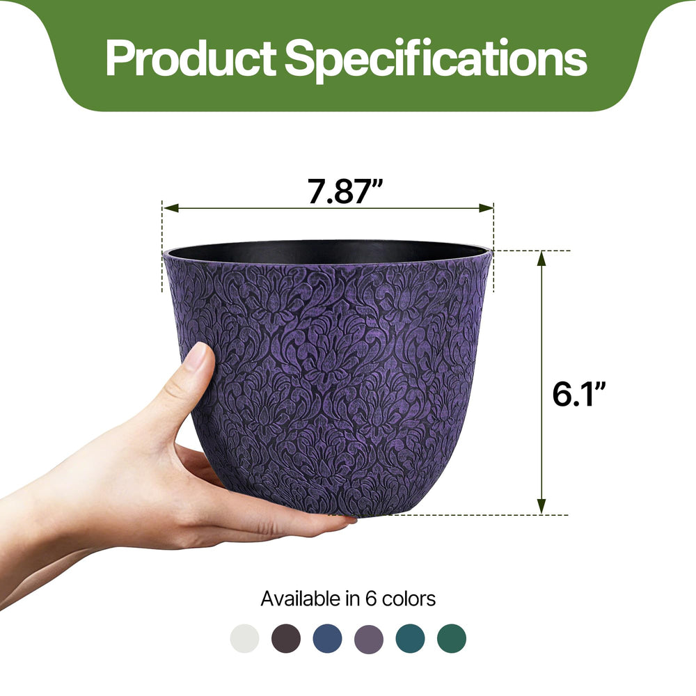 Worth Garden potted plant on shelf showing decorative display benefit
