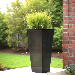 Worth saucer displayed as tray and insert for flexible plant care