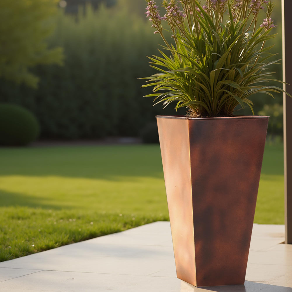 Worth saucer shown as tray or insert offering versatile watering control