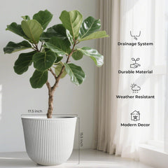 Worth Garden side angle of single pot showing depth and shape benefits