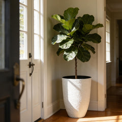 Worth Garden side profile highlighting raised details and curved shape for visual height