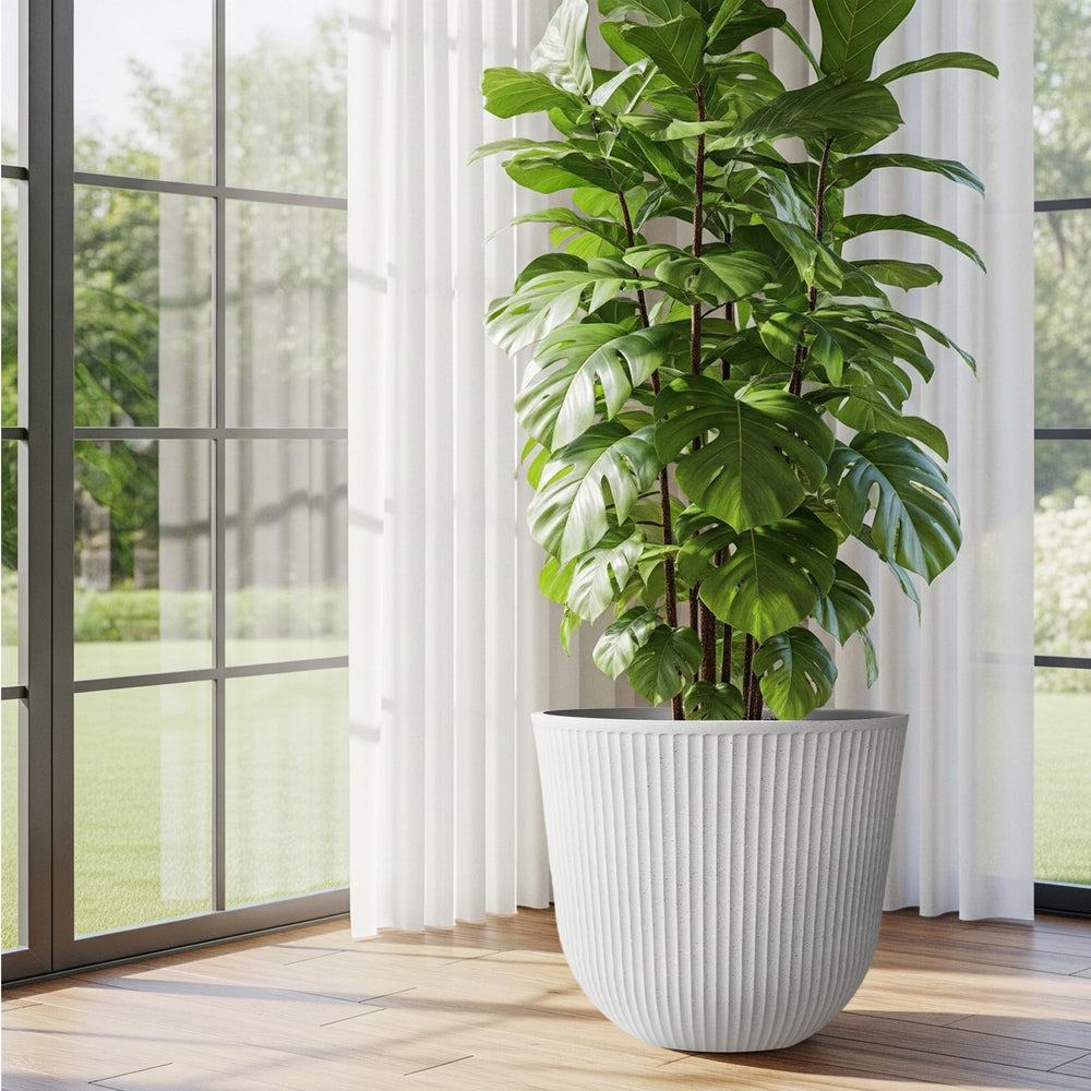 Worth Garden planter with a shrub inside showing size and capacity
